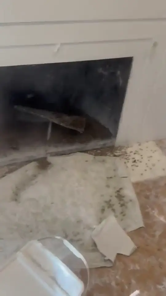 Flue colony
